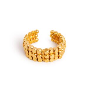 RII - Ring Leo